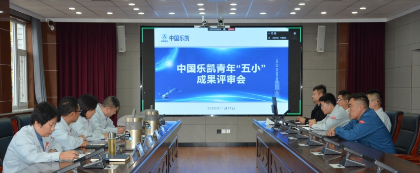 激揚青春智造力！中國樂凱團(tuán)委召開青年“五小”成果評審會